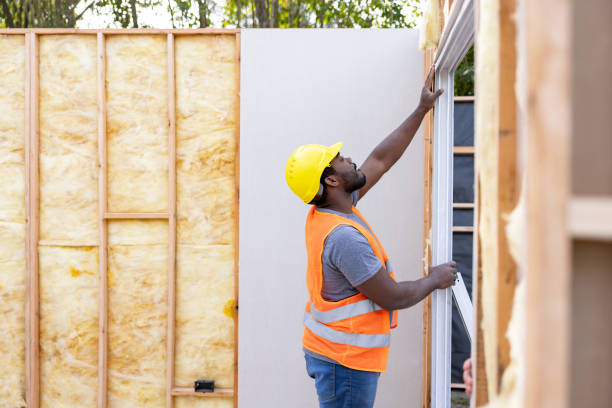 Best Insulation Removal  in Lisbon, ND