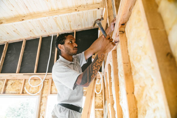 Best Insulation Removal  in Lisbon, ND