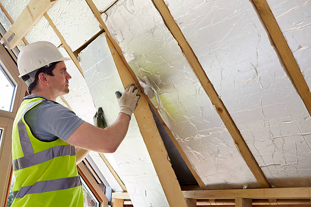 Best Attic Insulation Installation  in Lisbon, ND